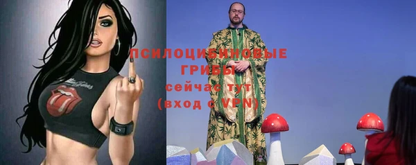 наркотики Бородино